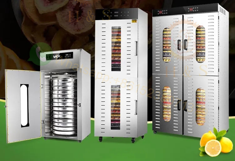 Essiccatore Elettrico per Alim - Dehydrator Tray Electric recensione e prezzo