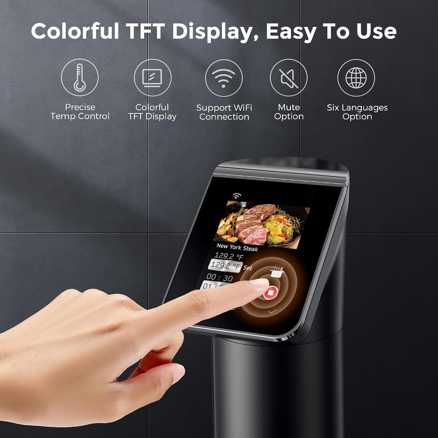 Cucina a immersione Sous Vide  - Sous Vide Immersion recensione e prezzo