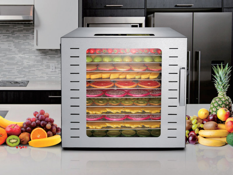 Essiccatore Industriale a 12 V - Dehydrator Tray Electric recensione e prezzo