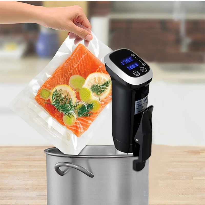 Fornello di precisione Sous Vi - Sous Vide Immersion recensione e prezzo