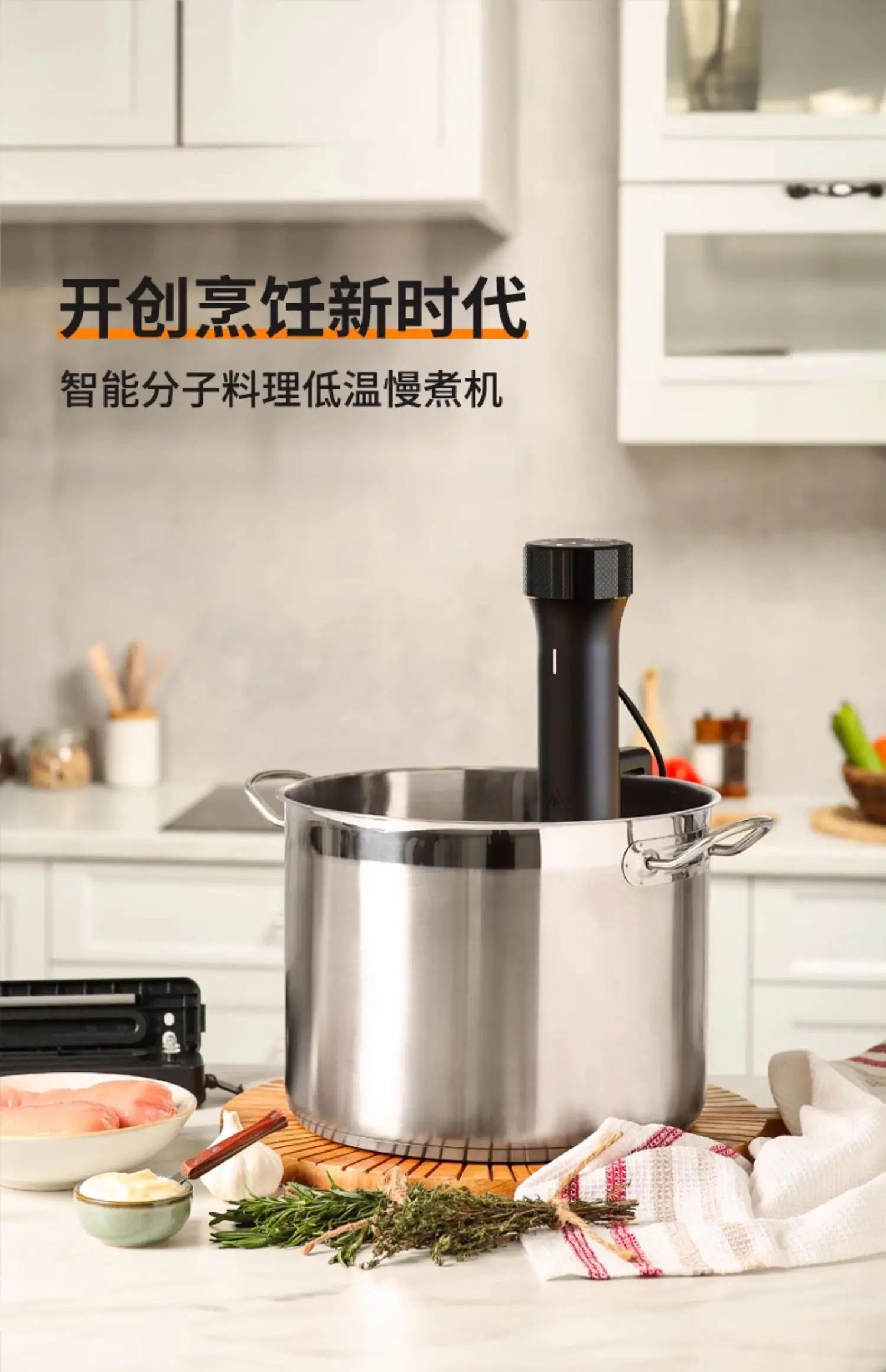 Circolatore ad immersione per  - Sous Vide Immersion recensione e prezzo